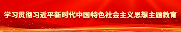 操杠视频网站学习贯彻习近平新时代中国特色社会主义思想主题教育